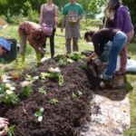 Cours certifié de Permaculture 2024